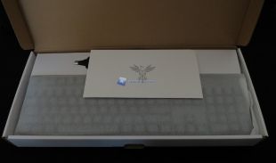 Feenix-Collection-Autore-4