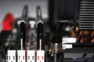 Thermolab Trinity_56